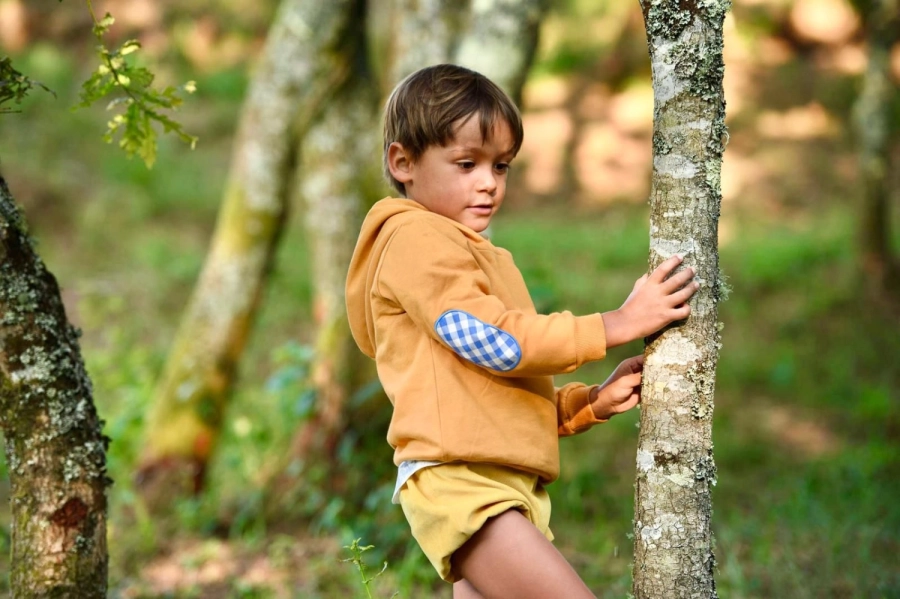 Sudadera niño Eliette Eva Castro